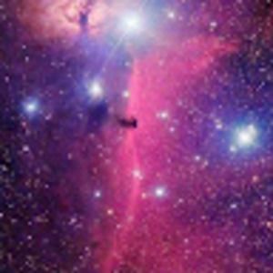 Meet your Posher, Alvi